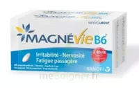 Magnevie B6 100 Mg/10 Mg Comprimés Pelliculés 2plq/60 (120) à Fargues-  Saint Hilaire